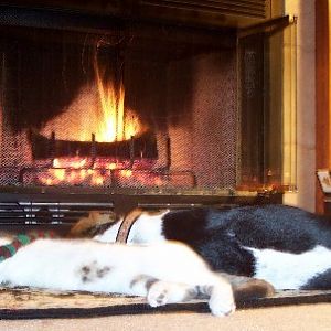 Elle and Stanley enjoying the fireplace