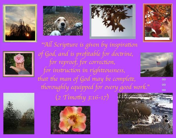 all scripture profitable
