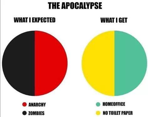 Apocalypse (COVID-19)