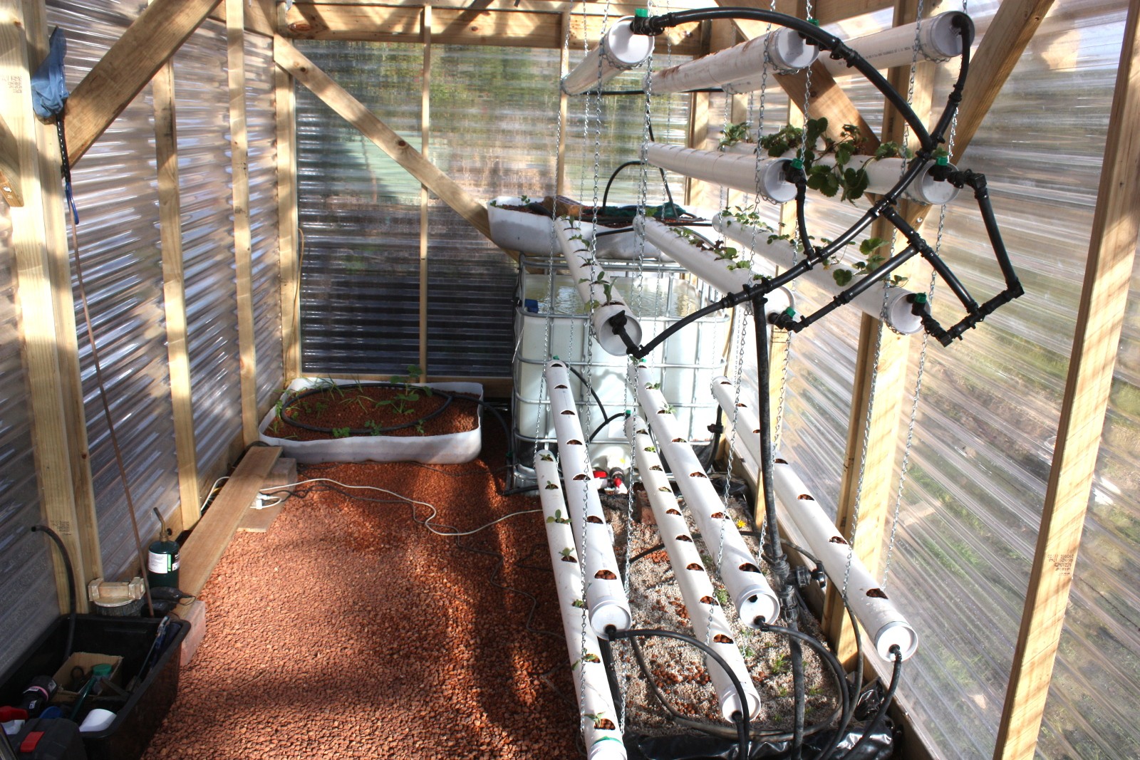 Aquaponic