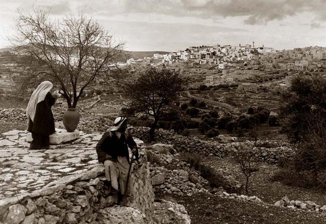 Bethlehem Shepherd's Fields