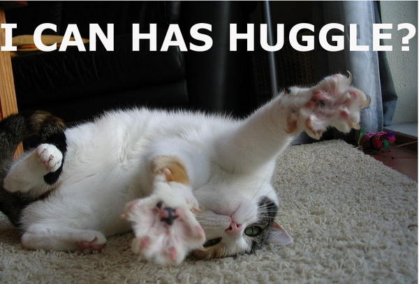 Cat   I can has huggle