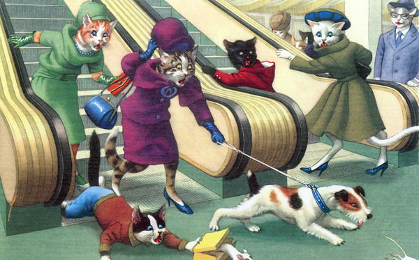 Cats shopping