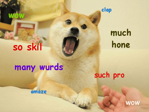 Debate Doge