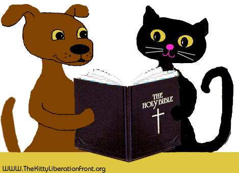 Dog And Cat Reading The Bible