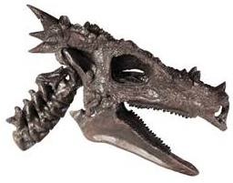 Dracorex 1 (Dragon like skeleton)