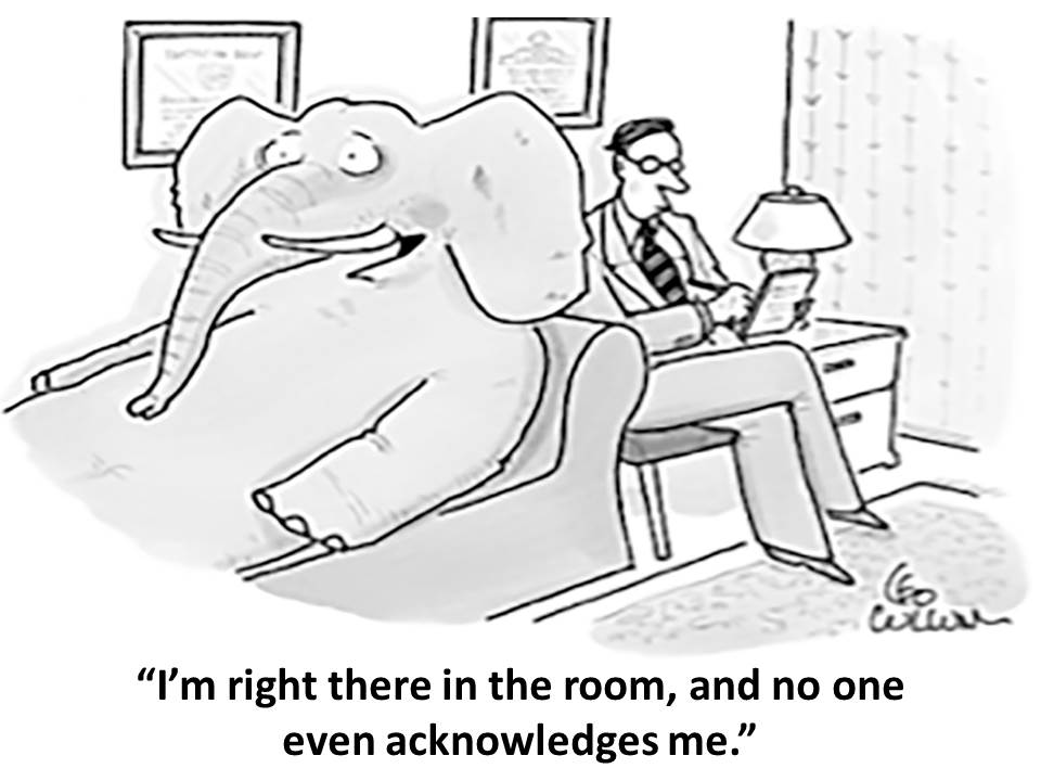 Elephant In Room