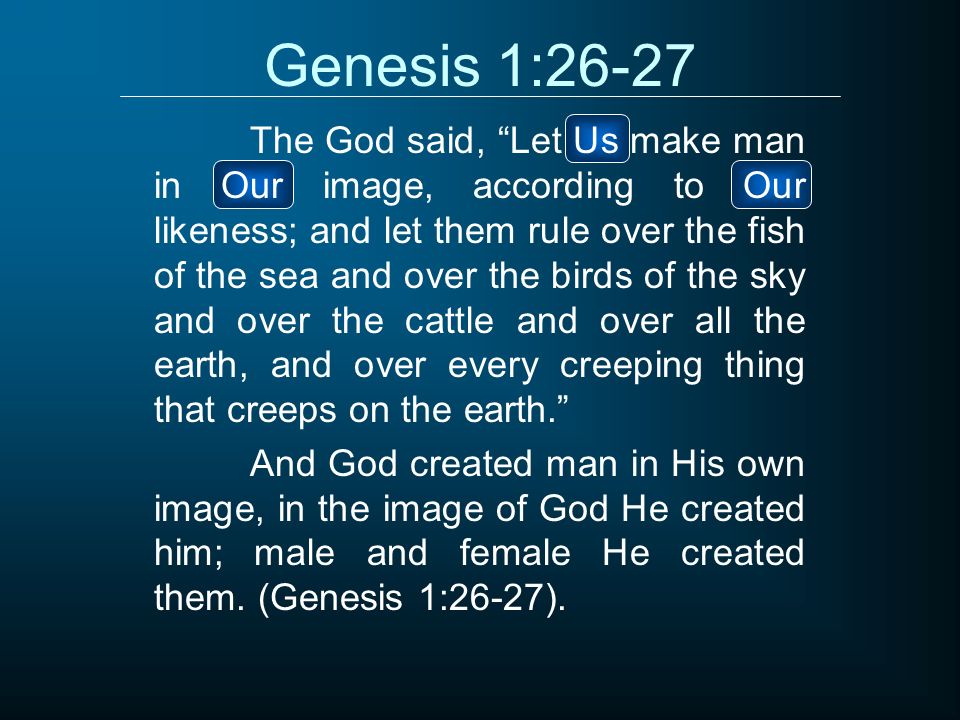 Genesis 1-26-27