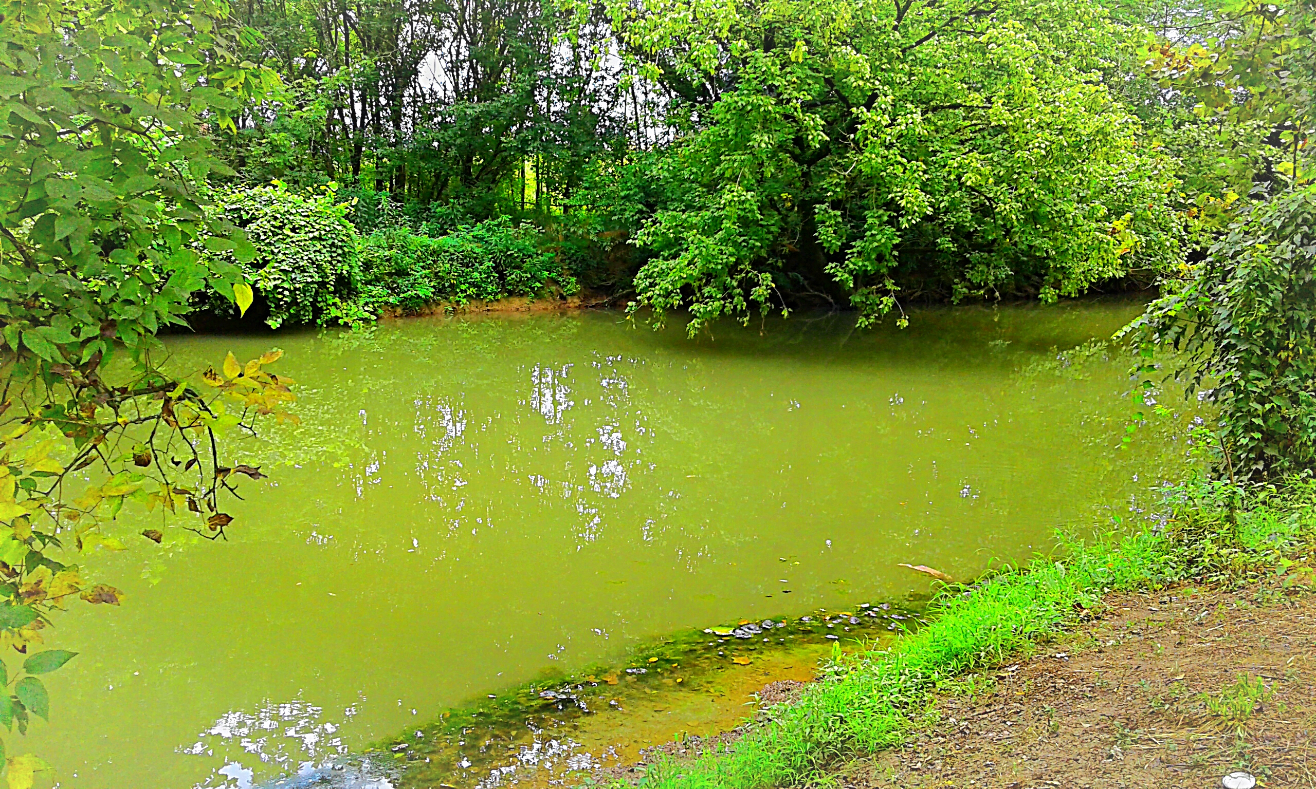 Green creek
