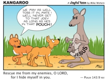 Kangaroo Comic