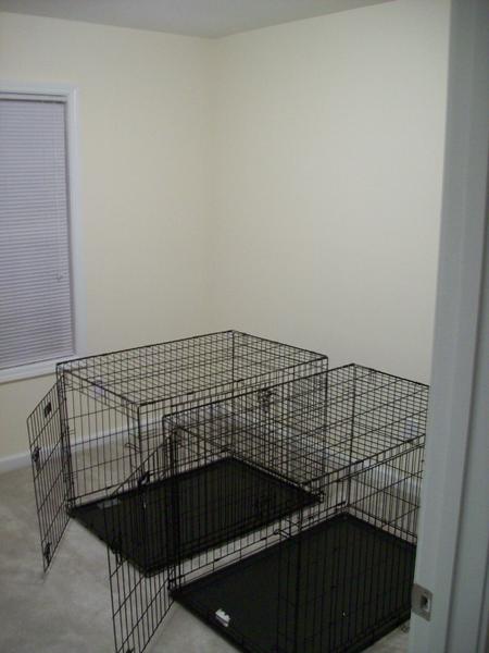 Our dog's room