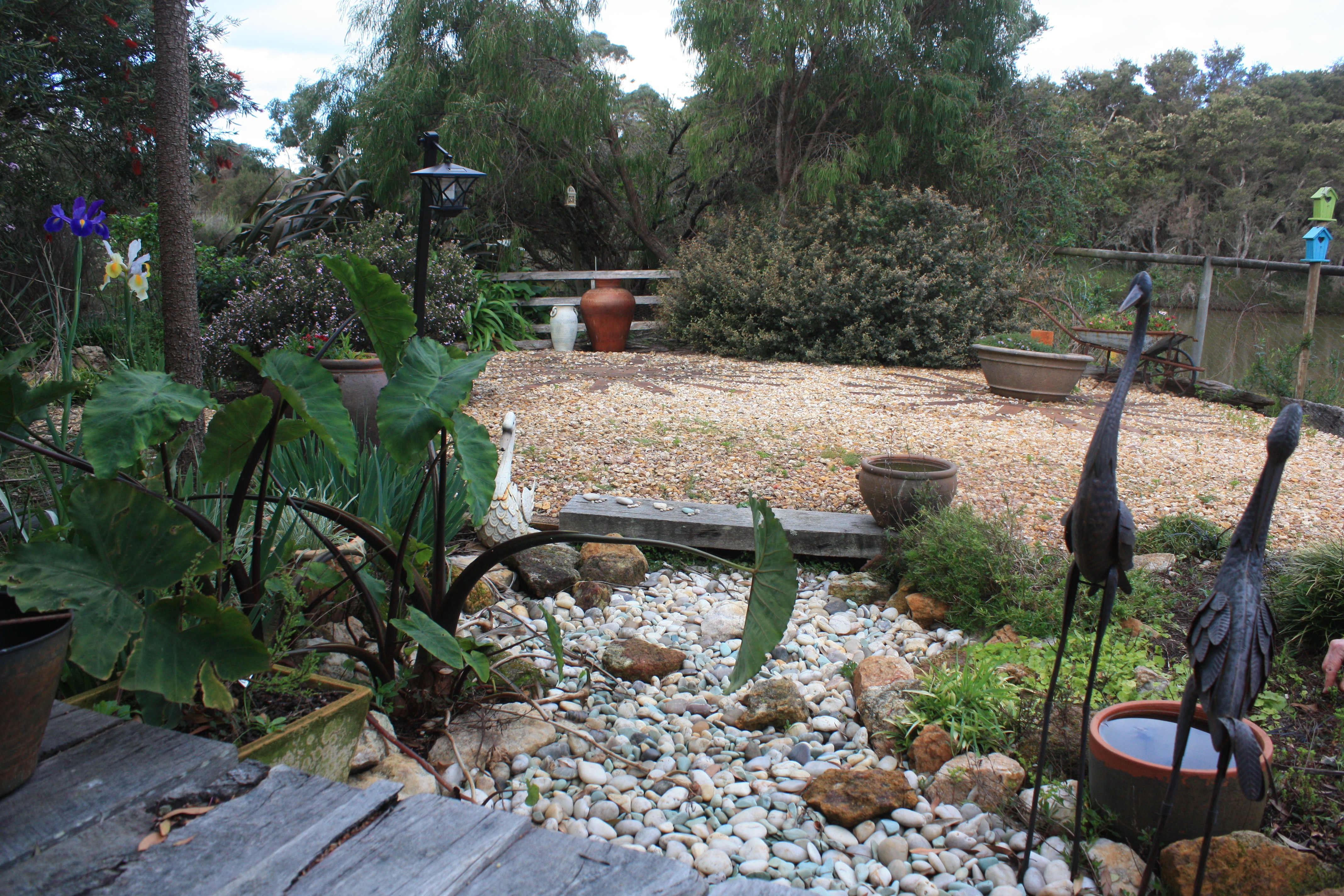 Our dry bed pond