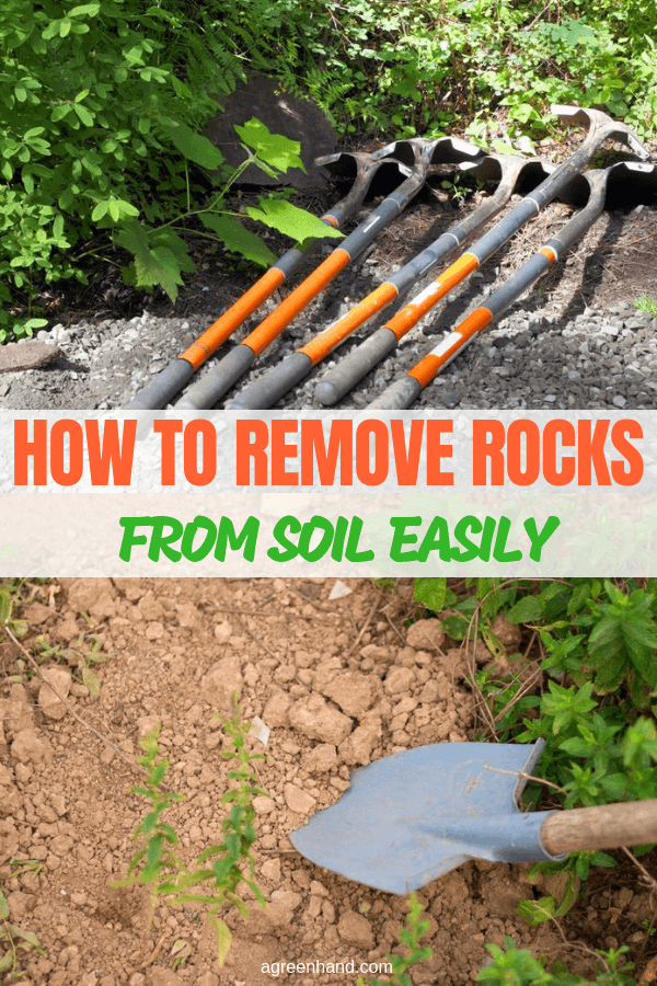 Remove-rocks-soil