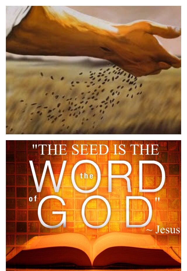 The Seed is the Word Of God (the Bible) (Luke 8:11)