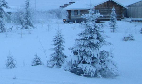 Thought you'd like these trees.... and the tiny ones...  the fir trees were planted in town in some places