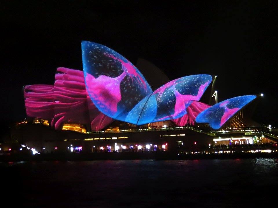 Vivid2017