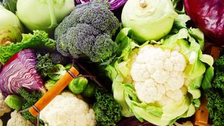 Background of healthy fresh cruciferous vegetables with broccoli, cabbage, cauliflower, brussels sprouts kale and kohlrabi.