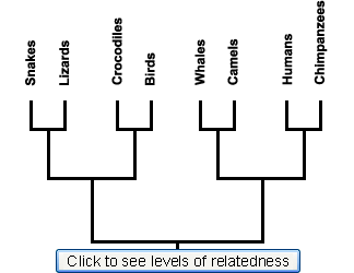 nested_clade_static.gif