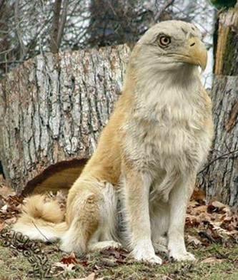 bird_dog_patio_1.jpg
