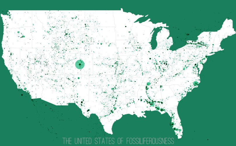 united-states-of-fossiliferousness-fossils-us-cover.jpg
