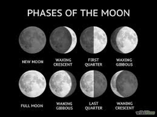 The-Moon-Phases-Facts.jpg