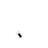 15qt5pl.gif