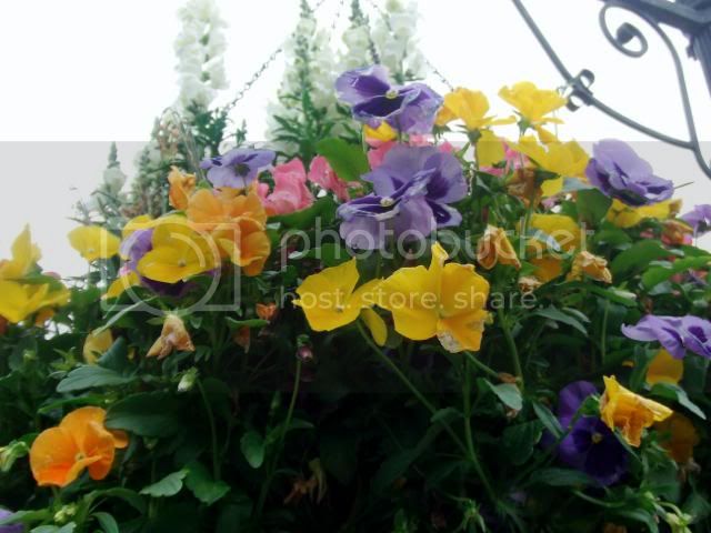 DSCF4301.jpg
