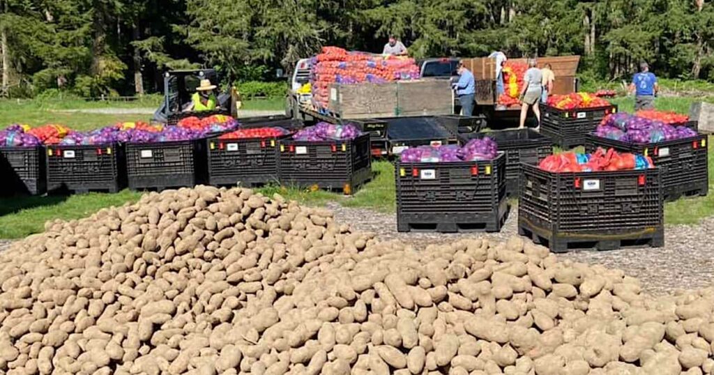 EastWest-Food-Rescue-potatoes-FB-featured-1024x538.jpg