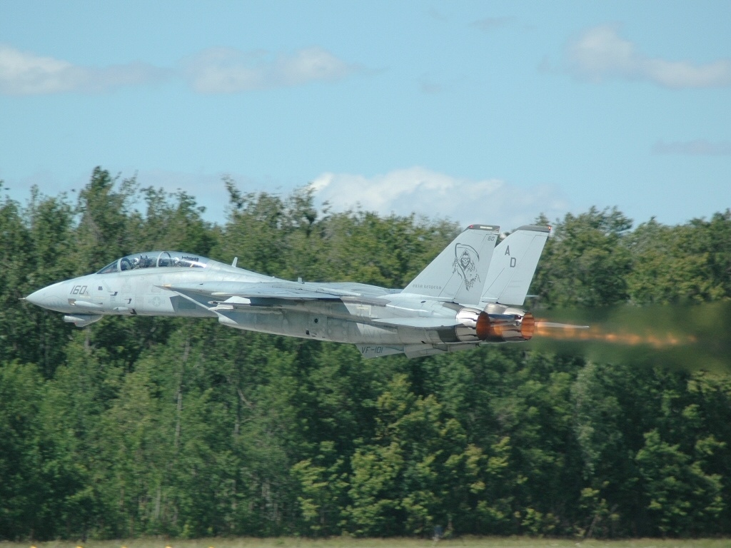 Grumman_F-14D%28R%29_Tomcat%2C_USA_-_Navy_AN0616772.jpg