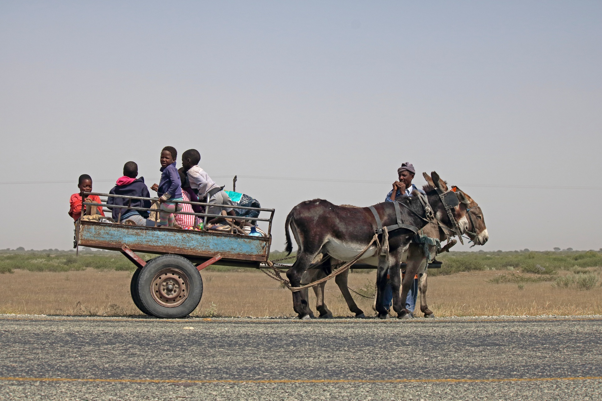 side-view-of-donkey-cart.jpg