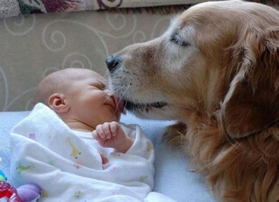 cute-dog-and-baby-400x290.jpg