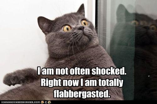 flabbergasted-lolcat.jpeg