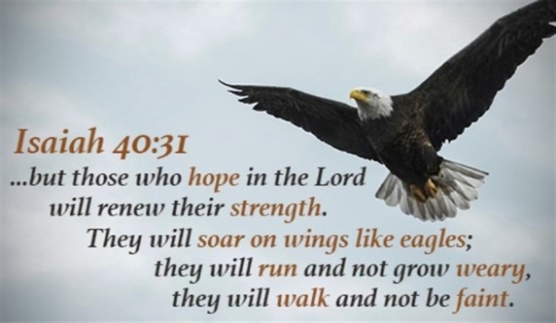 28362-17206-cm-hope-lord-renew-strength-soar-eagles-run-weary-walk-faint-social.800w.tn.jpg