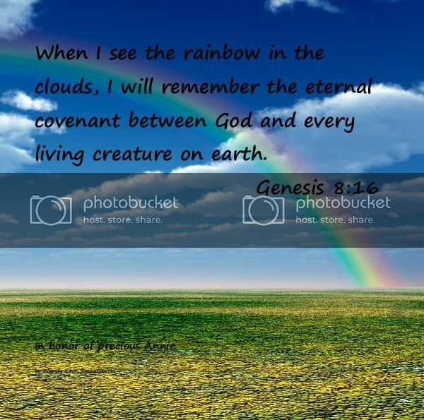 rainbow_zps3x2ultn6.jpg