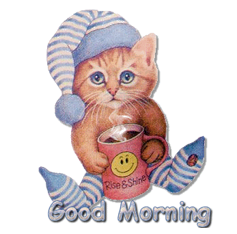 Cat252520Good252520morning.gif