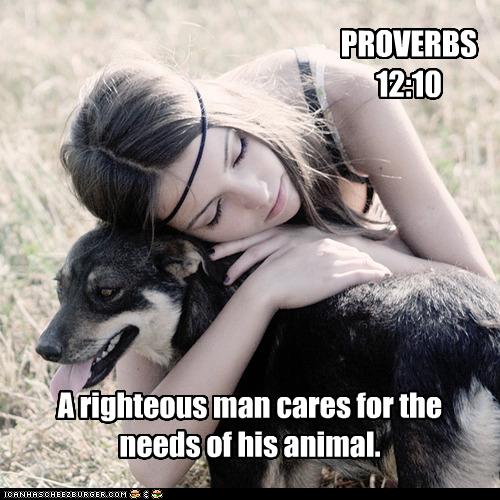 proverbs12.jpg