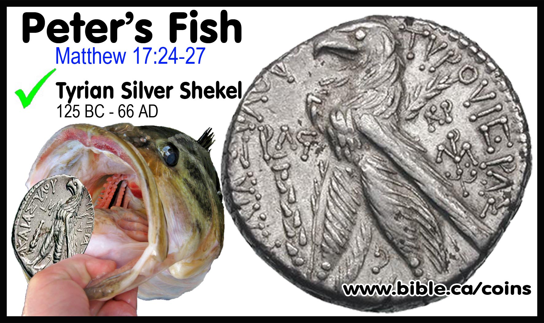 Jesus-coins-of-the-bible-Phoenician-Tyrian-mint-125BC-66AD-AR-Silver-Shekel-Tetradrachm-Inscription-Tyre-Peters-Fish-mouth-2-drachma-roman-tax.jpg