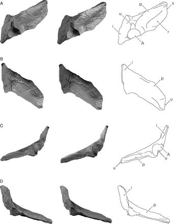 F3.medium.gif