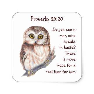 scripture_proverbs_29_20_dont_speak_in_haste_owl_square_sticker-rb229c22591c141828fa98a9d1994dc4c_v9wf3_8byvr_324.jpg