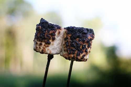 burnt-marshmallow.jpg