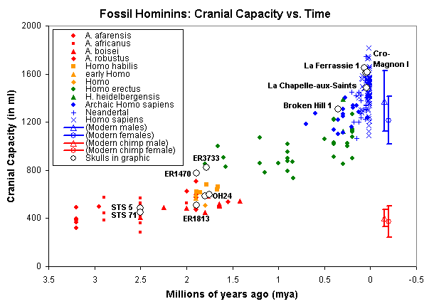 Fossil_homs_cranial_capacity_vs_time_0.png