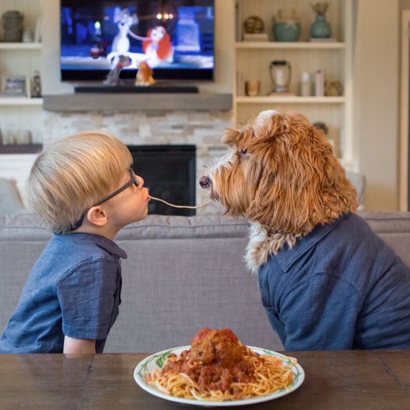 dog-friend-Buddy-spaghetti-swns-1-1.jpg