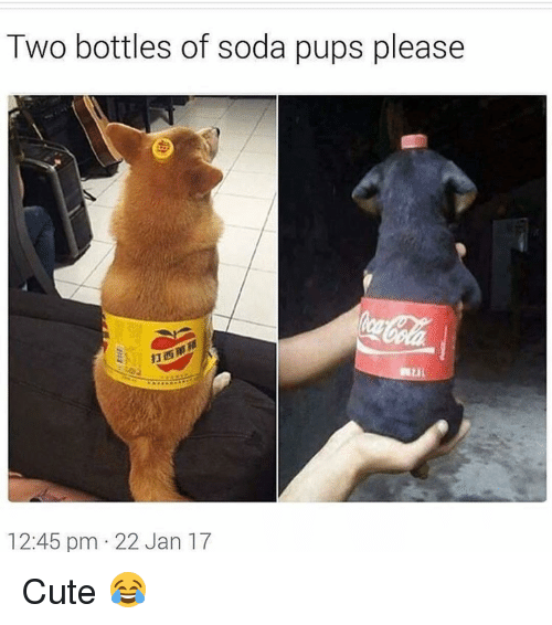 two-bottles-of-soda-pups-please-12-45-pm-22-jan-12683130.png