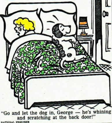 dogs-bed-trick-comic-strip-20domest.jpg