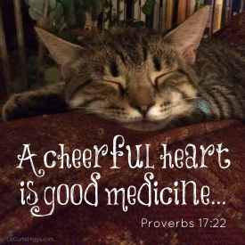 35-BLOG-Proverbs-17-22-Cat-WORDS-1-275.jpg