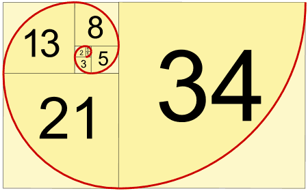 fibonacci-spiral-gif.177567