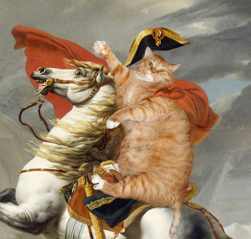 David_-_Bonaparte_det-cat.jpg