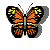 butterfly-012.gif