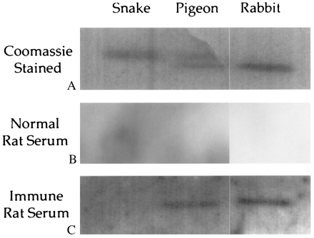 F6.medium.gif