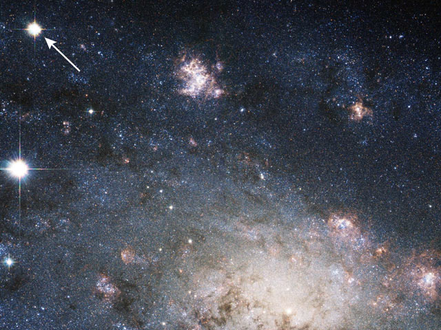 ngc2403sn_hst.jpg